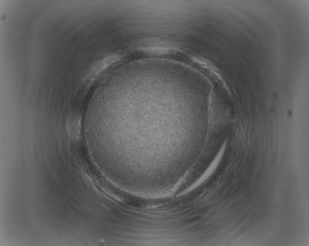 X0000083570596200702091055