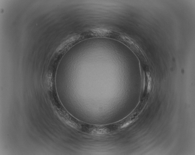 X0000083570599200702091055