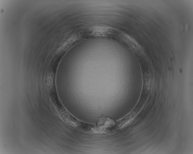 X0000083570603200702091055