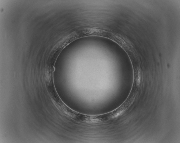 X0000083570607200702091055