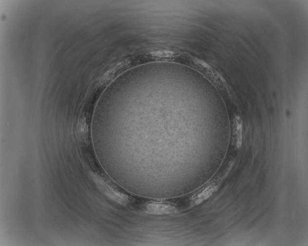X0000083570614200702091055