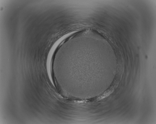 X0000083570624200702091055
