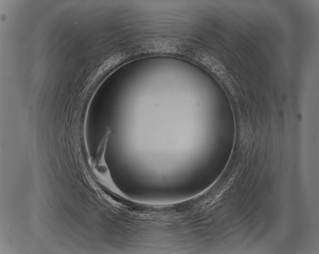 X0000083570625200702091054