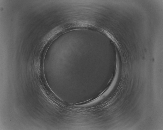 X0000083570627200702091054