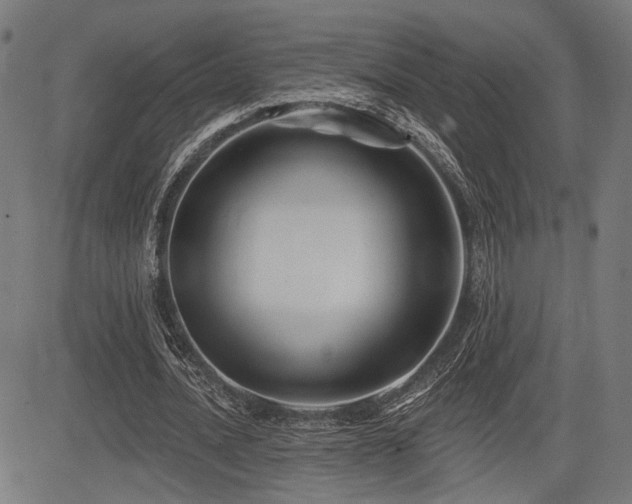 X0000083570628200702091054