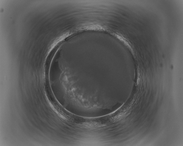 X0000083570630200702091054