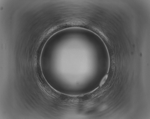 X0000083570631200702091054