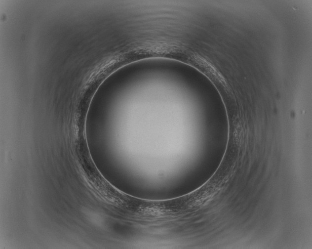 X0000083570635200702091054