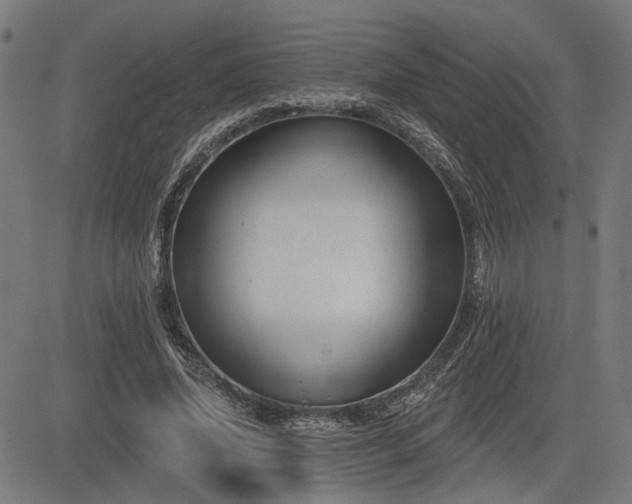 X0000083570636200702091054