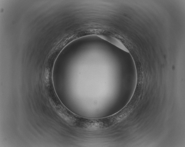 X0000083570646200702091054