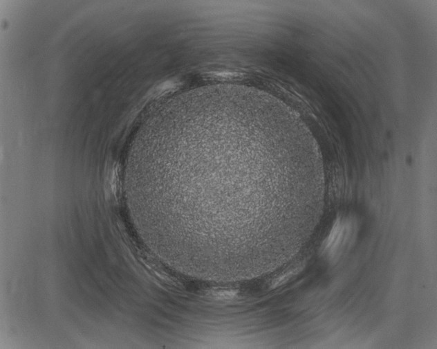 X0000083570651200702091054