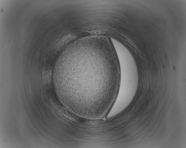 X0000083570652200702091055