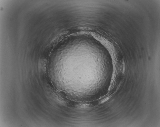 X0000083570664200702091055