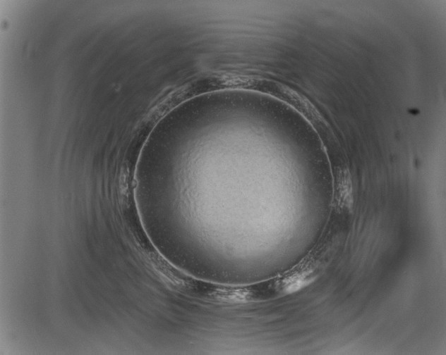 X0000083570667200702091055