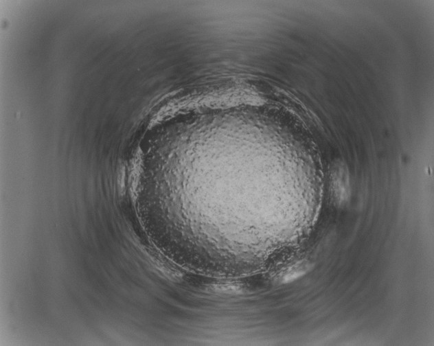 X0000083570668200702091055