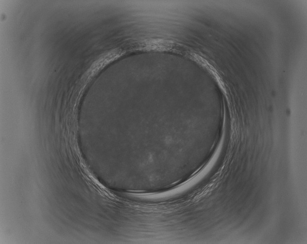 X0000083570673200702091054