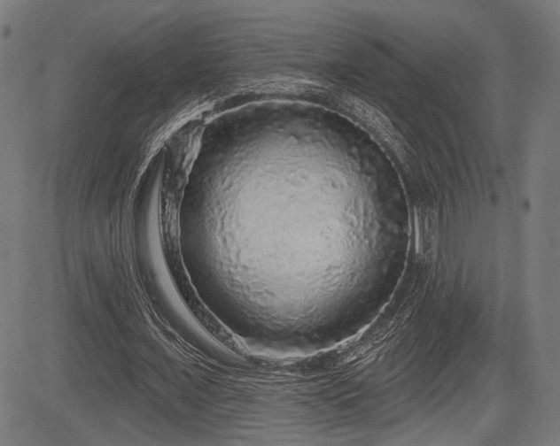 X0000083570675200702091054