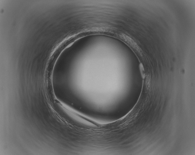 X0000083570676200702091054