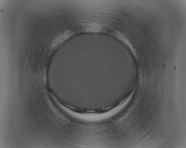 X0000083570681200702091054