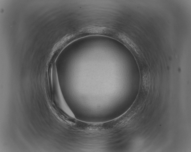 X0000083570682200702091054