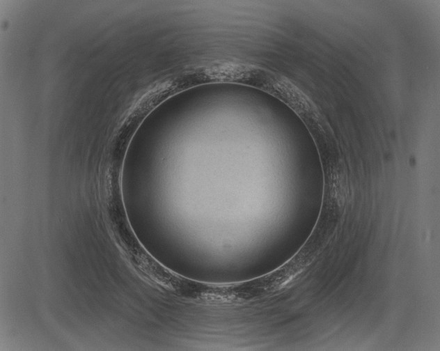 X0000083570690200702091054