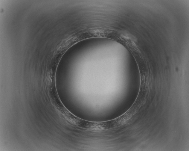 X0000083570702200702091054