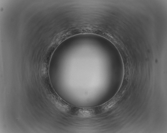 X0000083570706200702091054