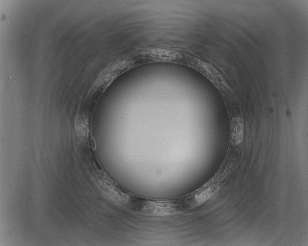 X0000083570713200702091053