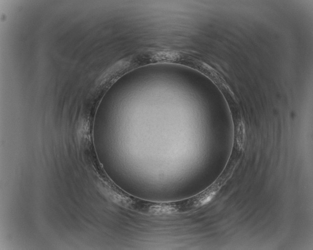 X0000083570714200702091053