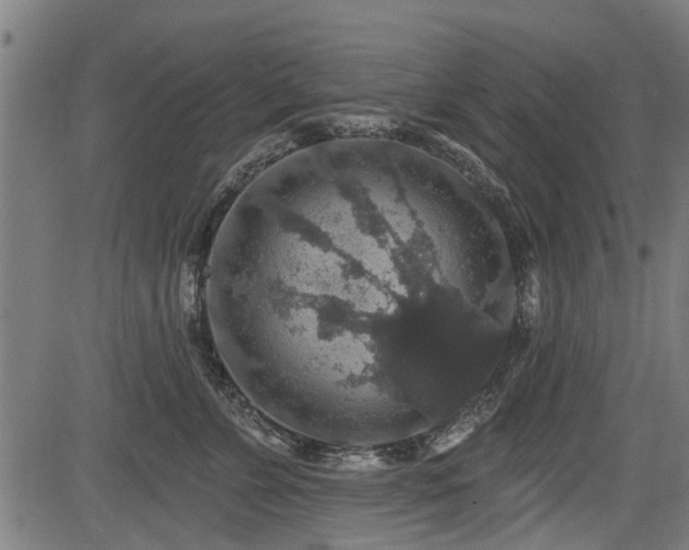X0000083570715200702091053