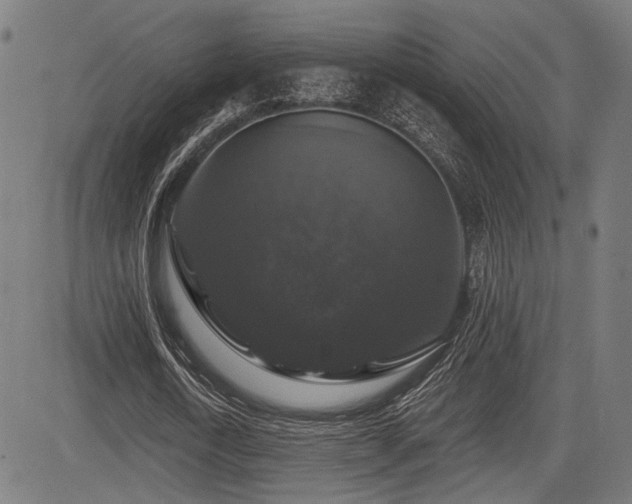 X0000083570722200702091053