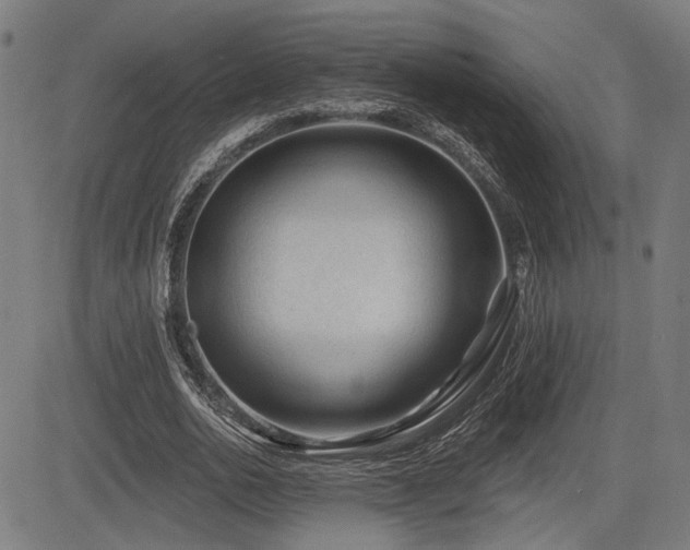 X0000083570726200702091053