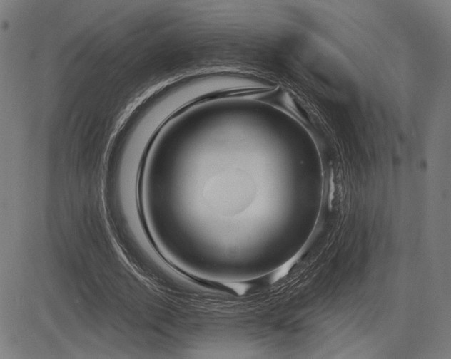 X0000083570728200702091053