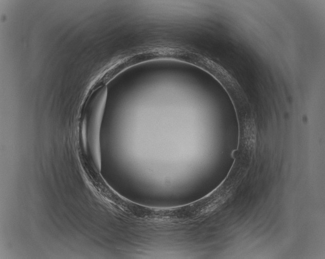 X0000083570730200702091053