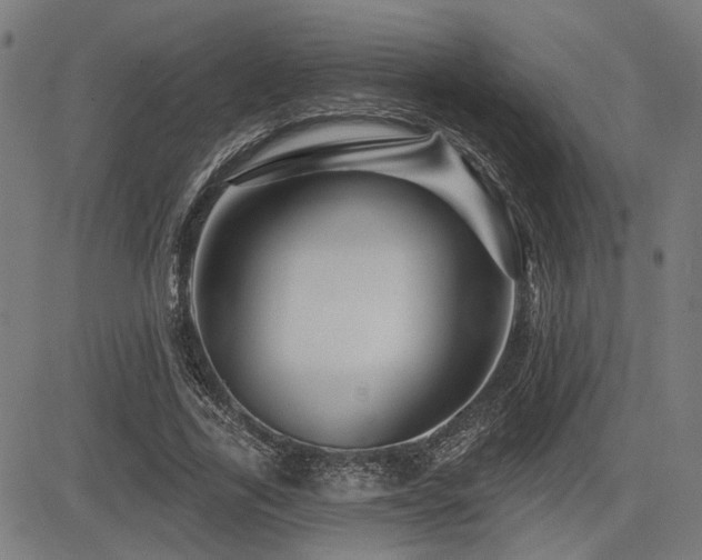 X0000083570731200702091053