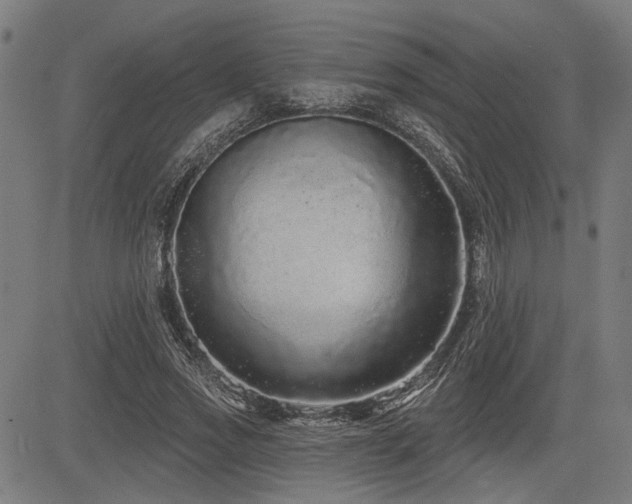 X0000083570733200702091053