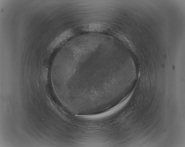 X0000083570735200702091053