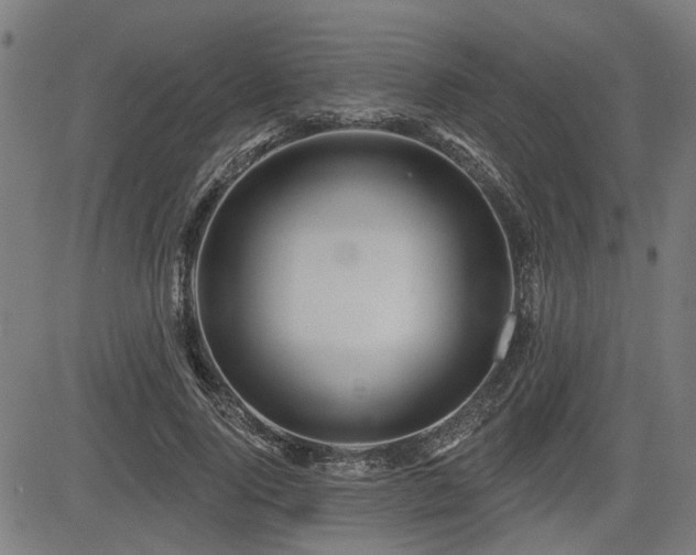 X0000083570740200702091053