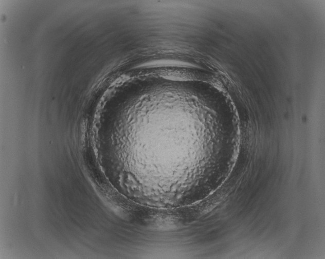 X0000083570742200702091053