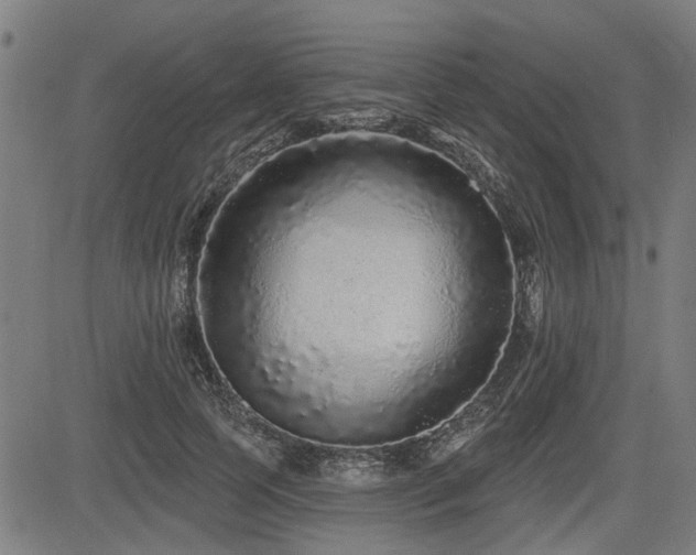 X0000083570745200702091053