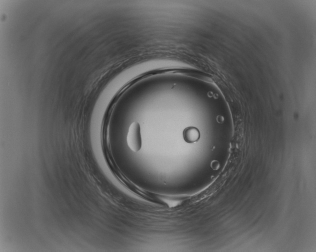 X0000083570746200702091053