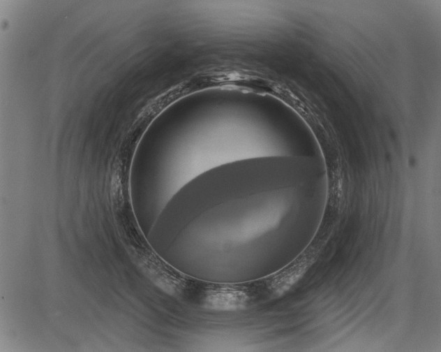 X0000083570754200702091053