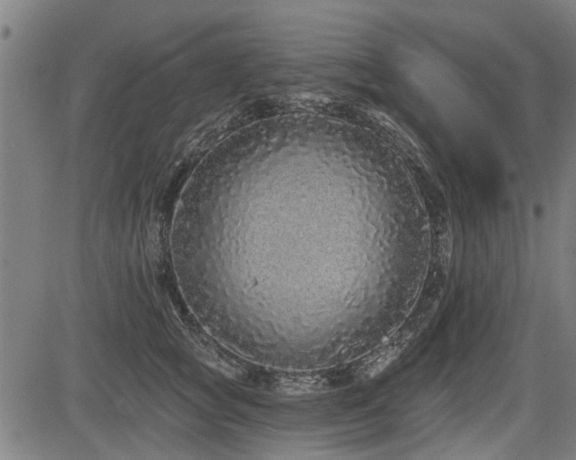 X0000083570757200702091053