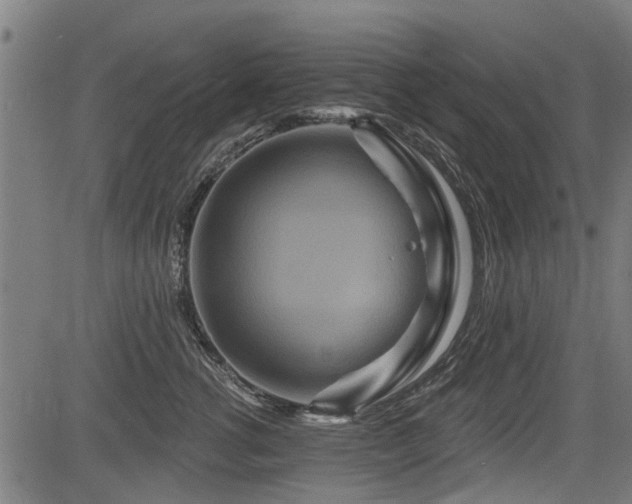 X0000083570762200702091053