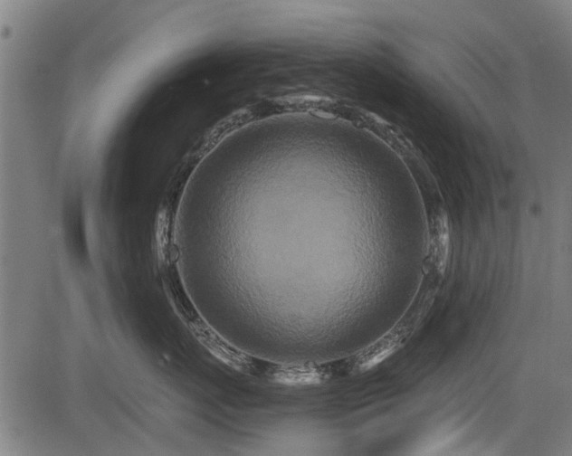 X0000083570767200702091053