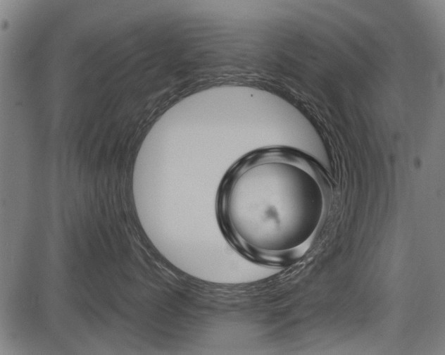 X0000083570768200702091053