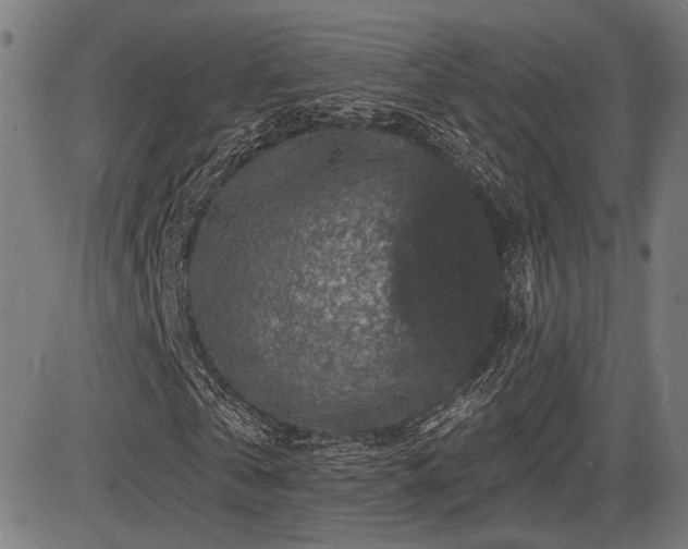 X0000083570769200702091052