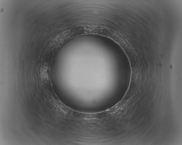 X0000083570770200702091052