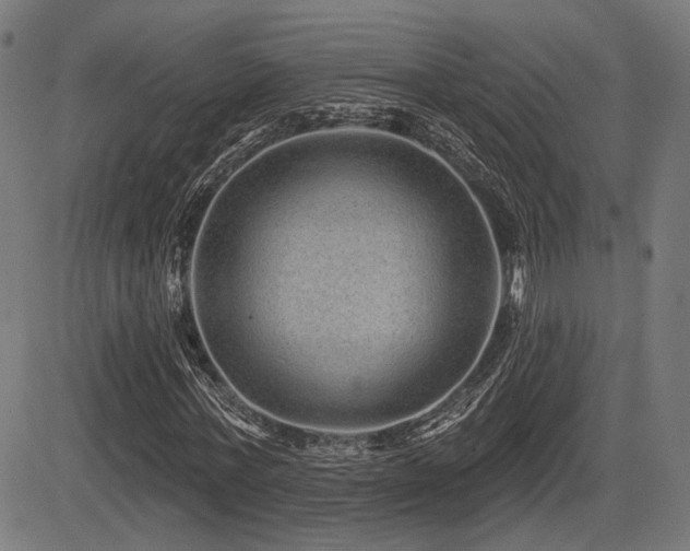 X0000083570771200702091052