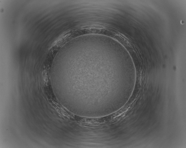 X0000083570774200702091052